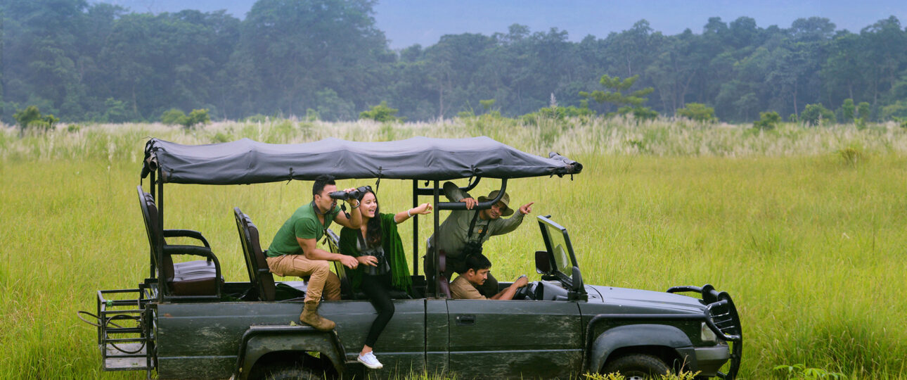 safari