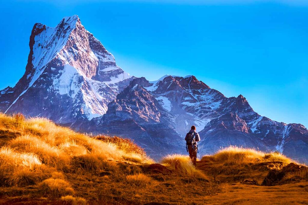 mardi himaL